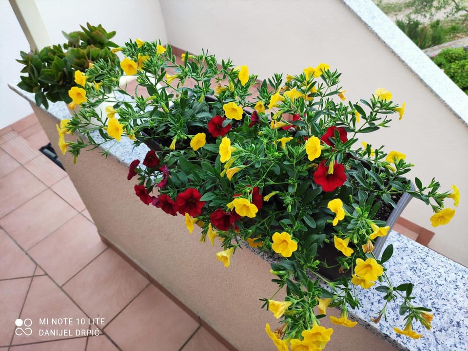 Apartments Drpic Apartment in Primorje-Gorski Kotar County