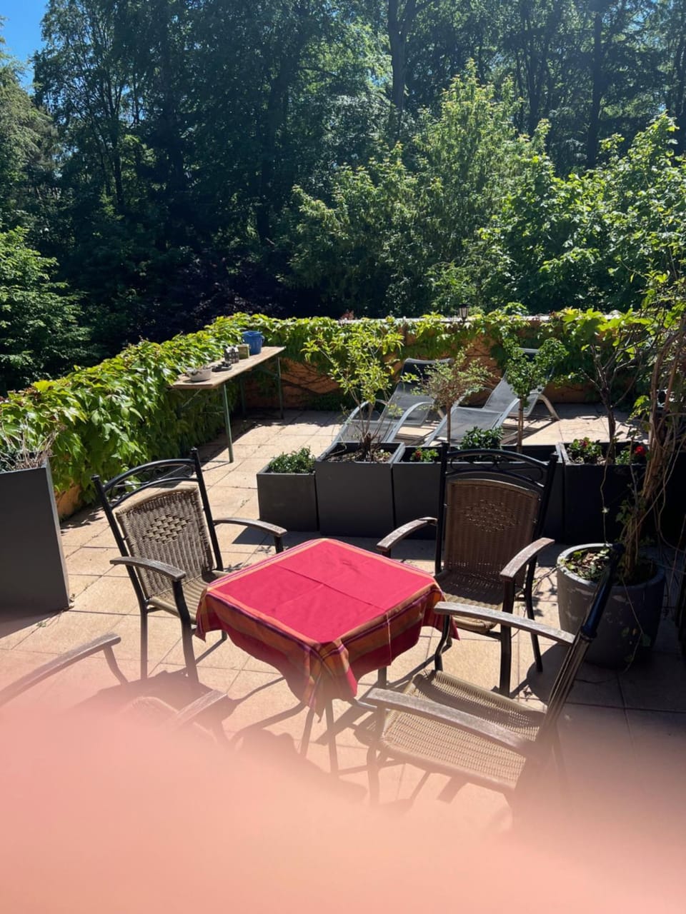 Balcony/Terrace
