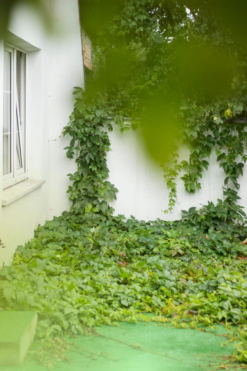 Property building, Natural landscape, Garden, Balcony/Terrace, Balcony/Terrace, On site, Garden view