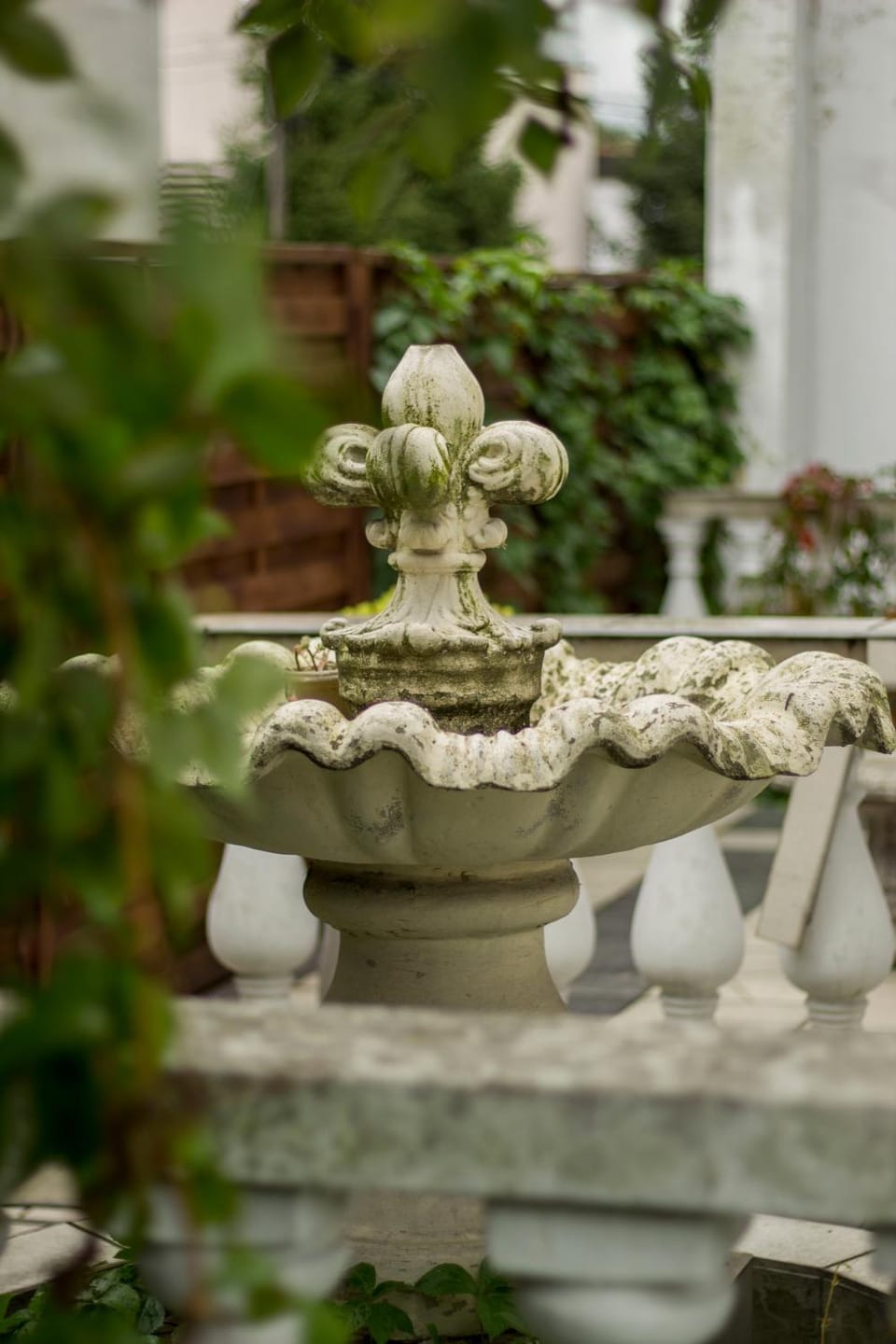 Natural landscape, Garden, Garden, Decorative detail, On site, Garden view