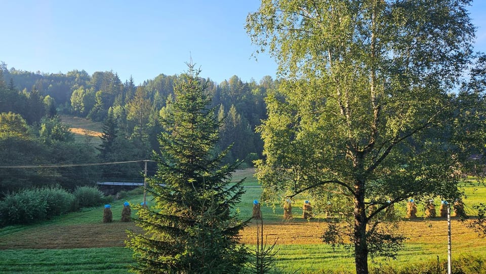 Property building, View (from property/room), View (from property/room)