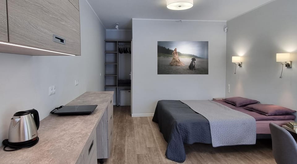 Bed, Kitchen or kitchenette, Living room, Photo of the whole room, Seating area, Bedroom