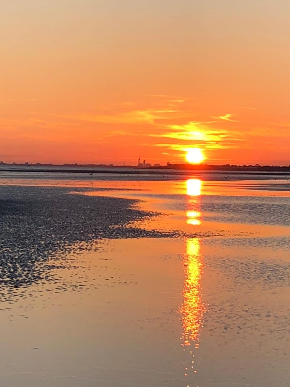 Natural landscape, Beach, Sunset