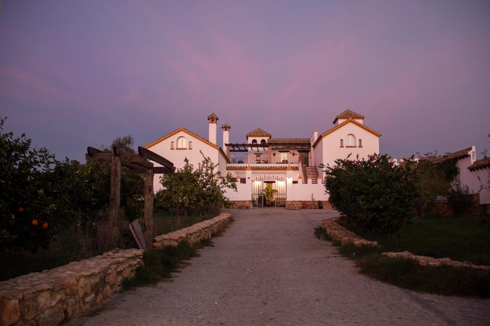 Property building, Sunset
