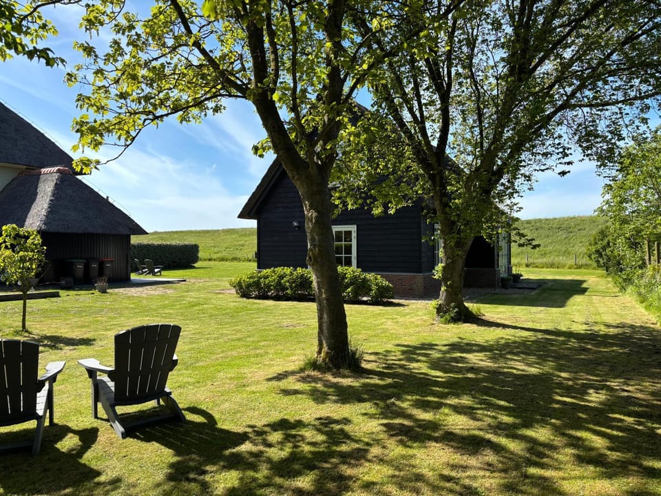 Spring, Garden, Garden view