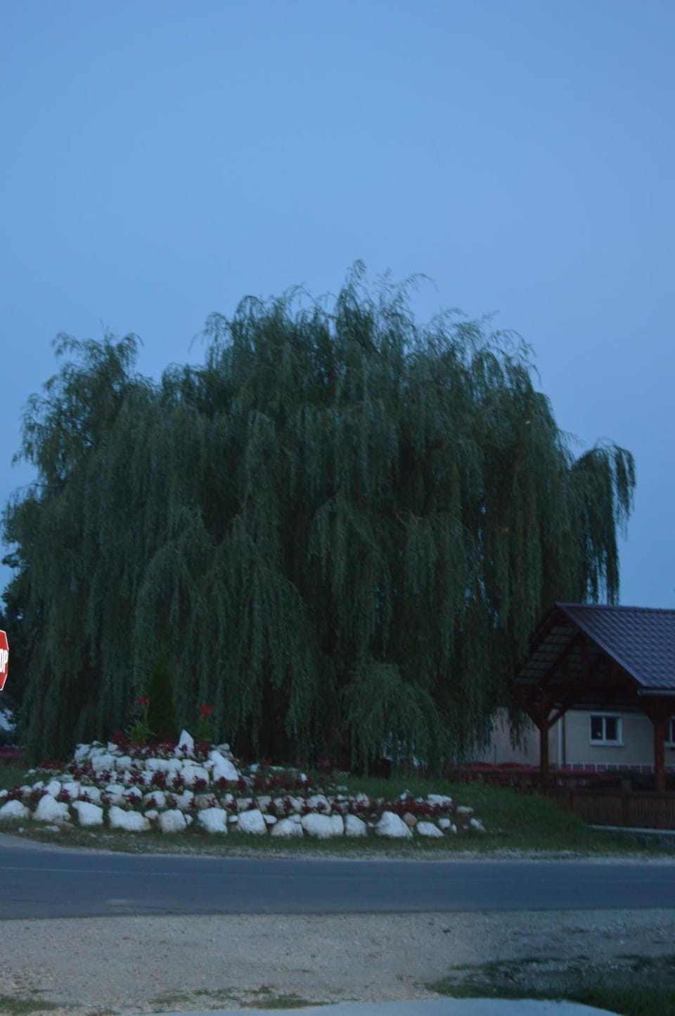 Natural landscape
