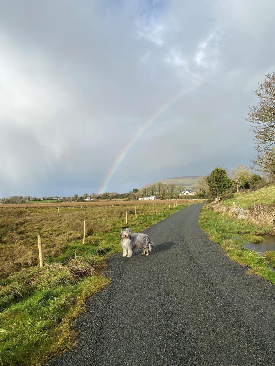Coastal Living Wild Atlantic Way - near Strandhill Bed and Breakfast in County Sligo