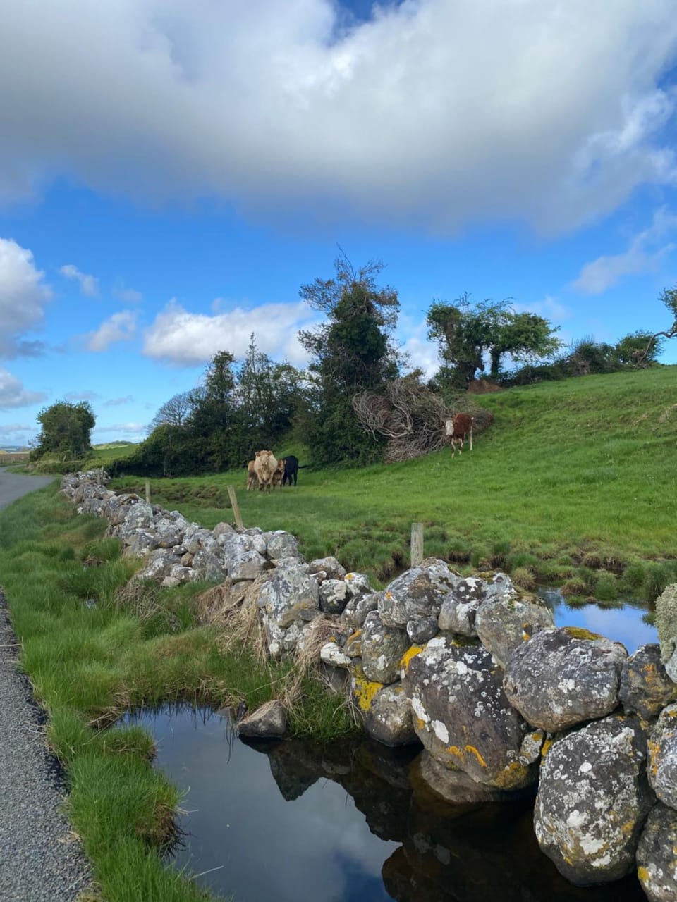 Coastal Living Wild Atlantic Way - near Strandhill Bed and Breakfast in County Sligo