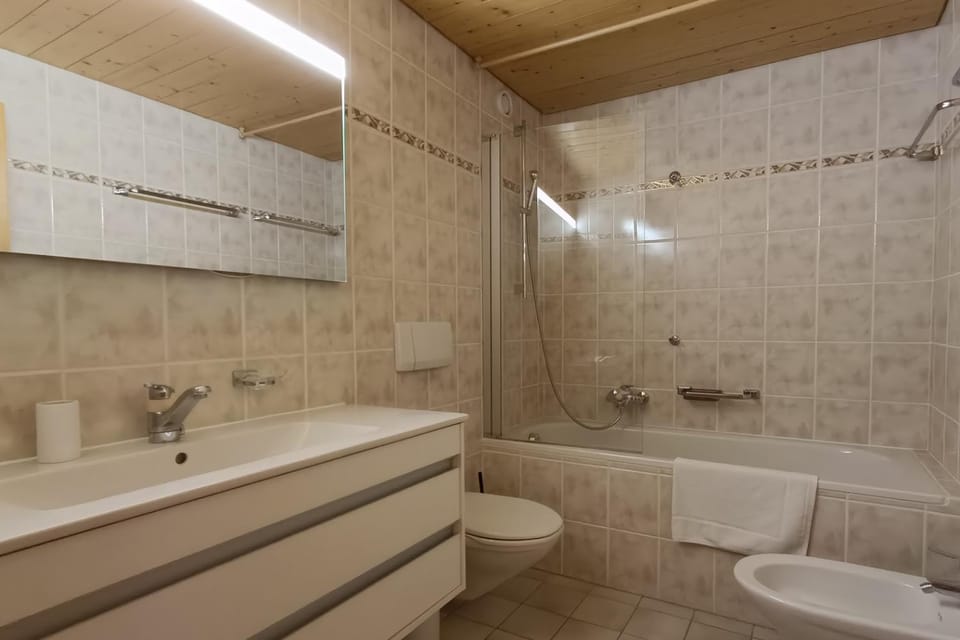 Amadeus 132 Apartment in Bagnes