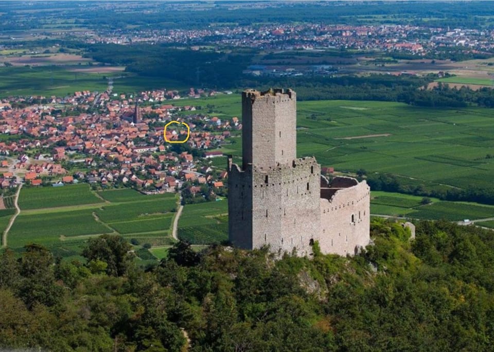 Entre vignes et châteaux. Villa in Sélestat