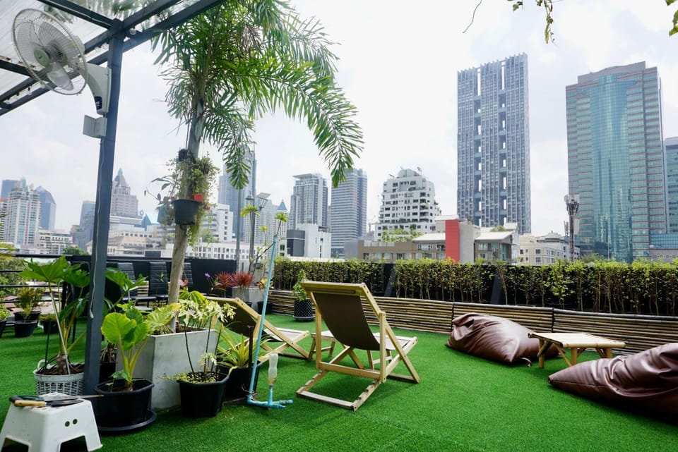Garden, Seating area, City view, sunbed