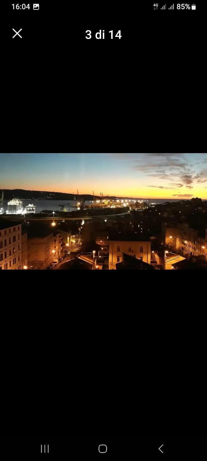 City view, Sea view, Sunset