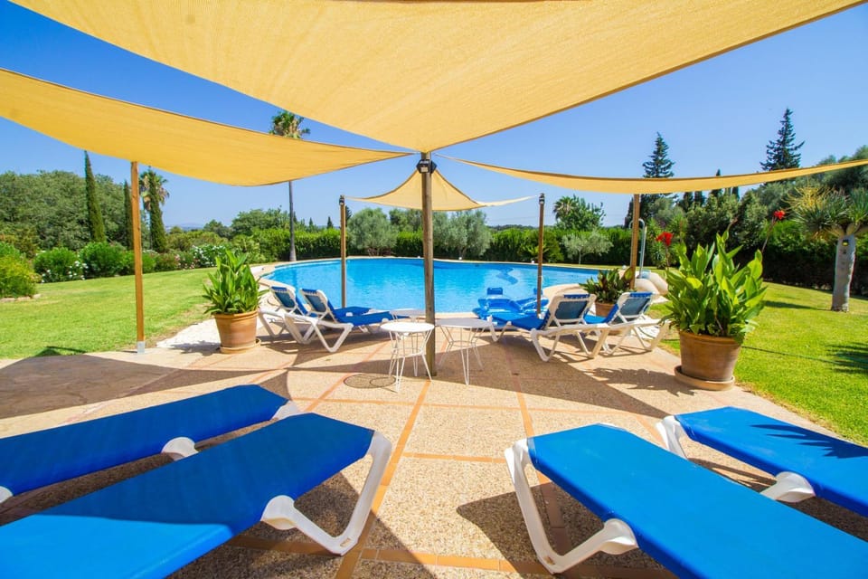Garden, Pool view, Swimming pool
