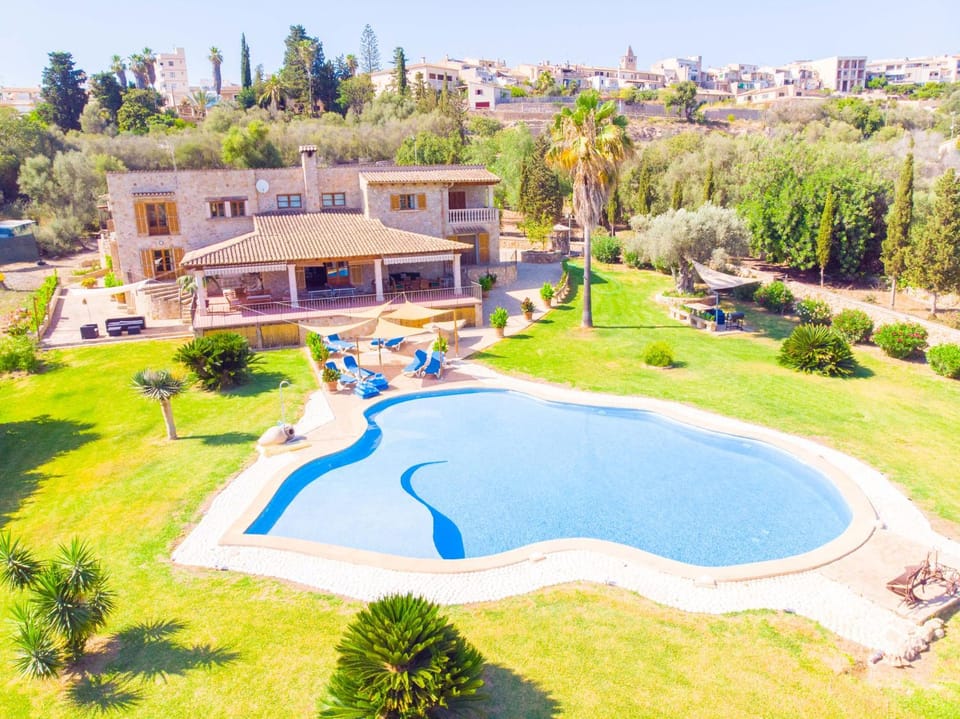 Garden, Pool view, Swimming pool