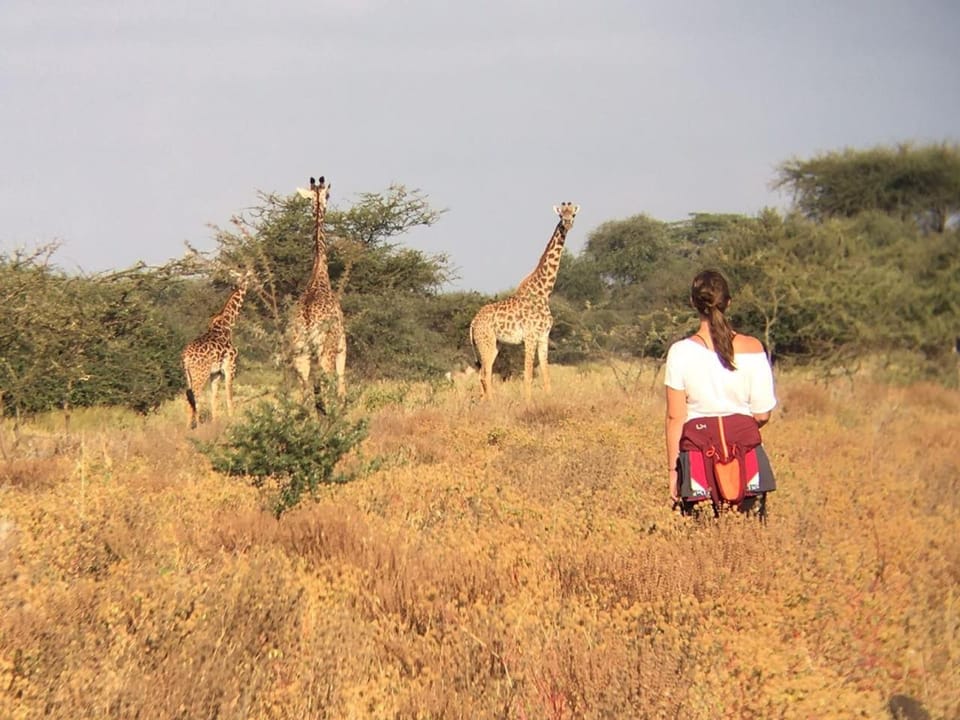 Hiking, Animals