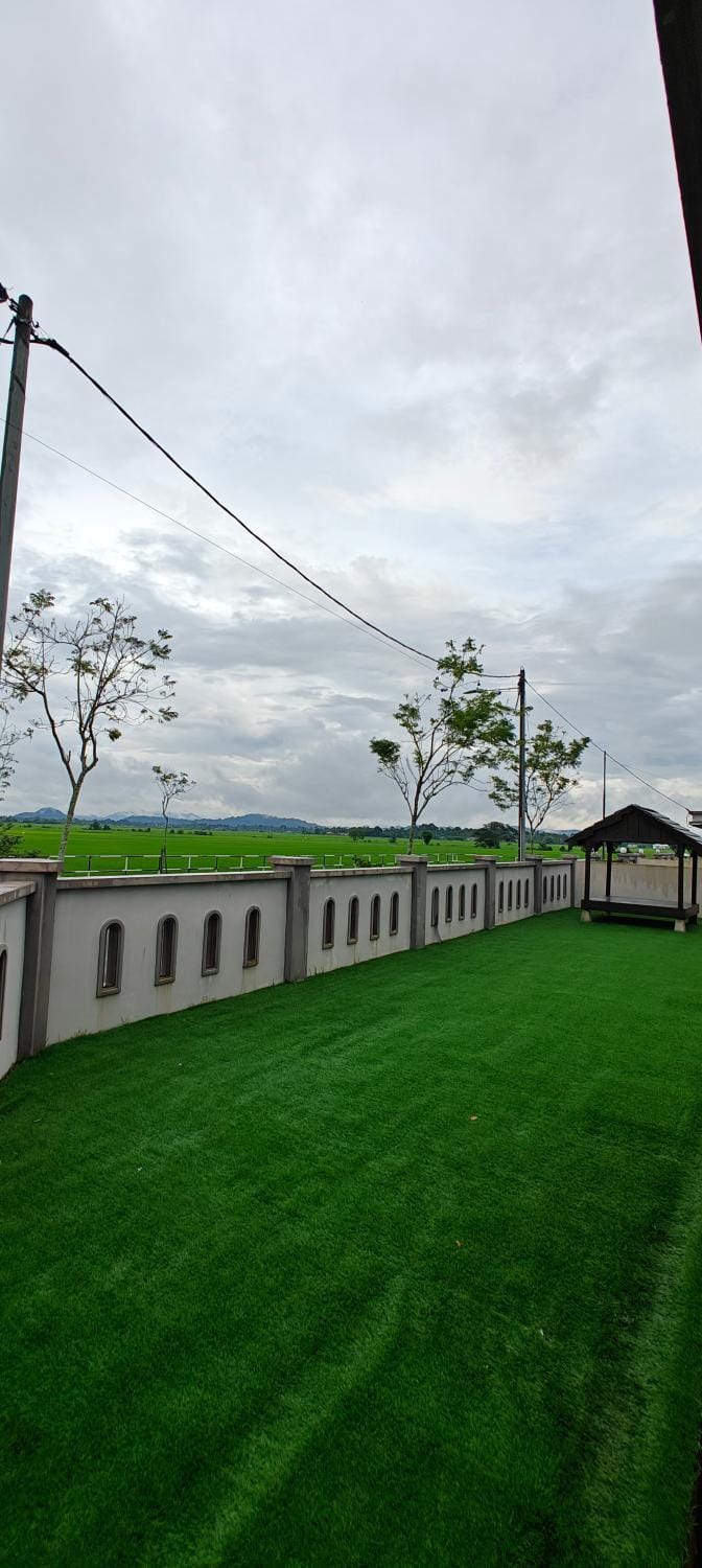 Natural landscape, Garden, Garden view