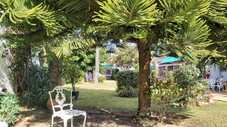 Natural landscape, Garden, Garden view