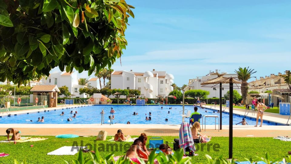 Spring, Day, People, Garden, group of guests, sunbed