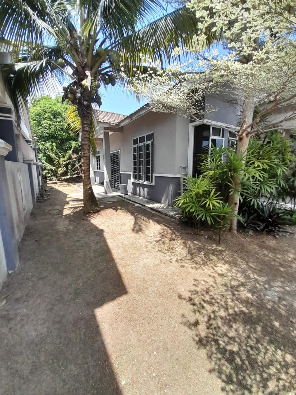 Property building, Garden, Garden view