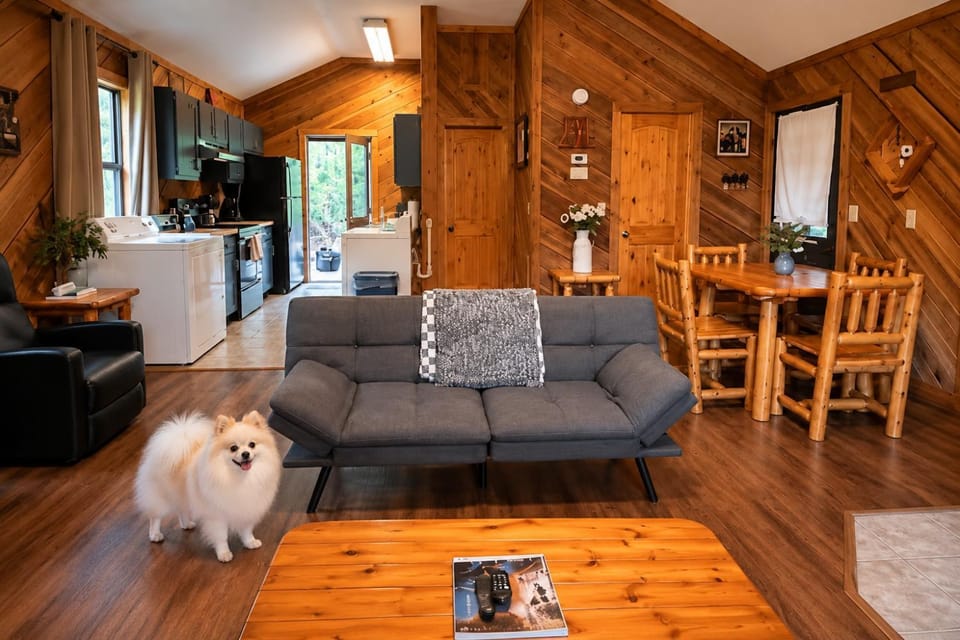 Living room, Pets, pet friendly