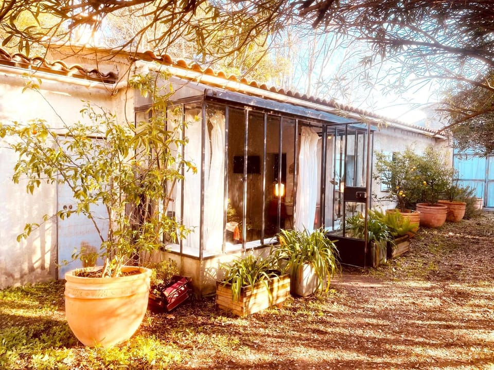 Property building, Garden, Garden view