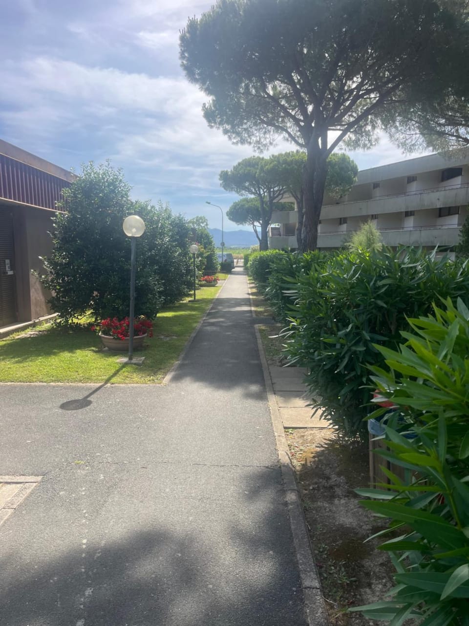 Casina mare bibbona Apartment in Tuscany