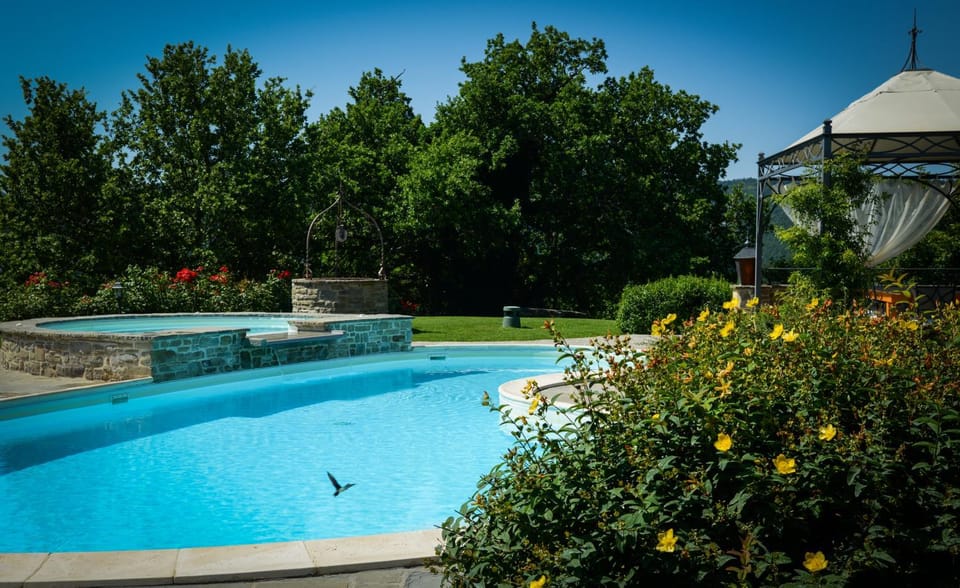 Pool view, Swimming pool