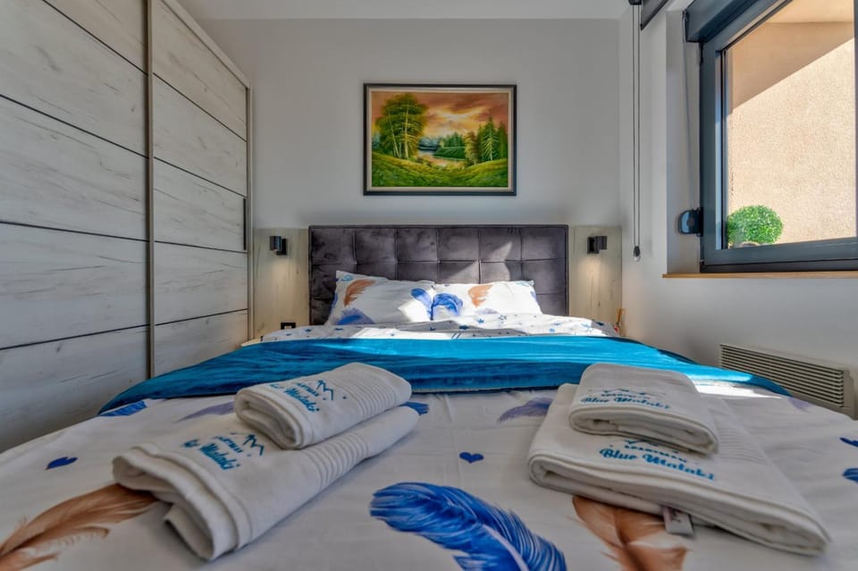 Blue Mataki Apartment in Zlatibor