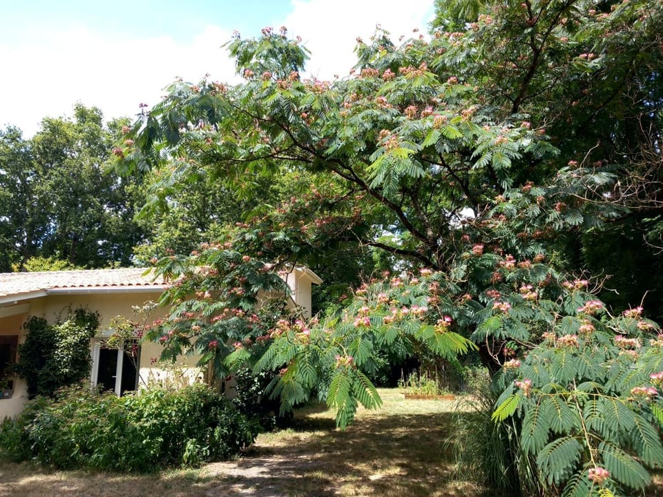 Clos des Loriots Villa in Nouvelle-Aquitaine