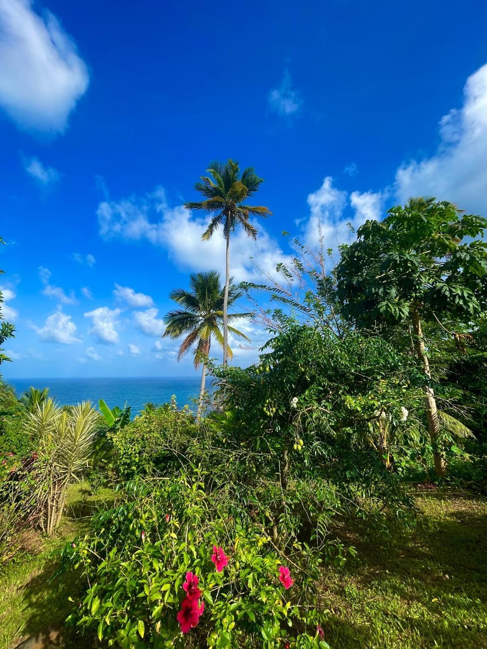 Garden, Garden view