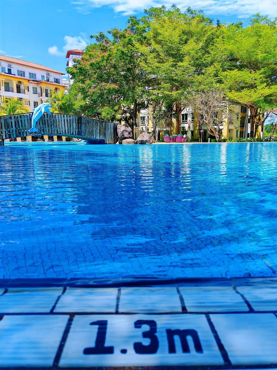 Pool view