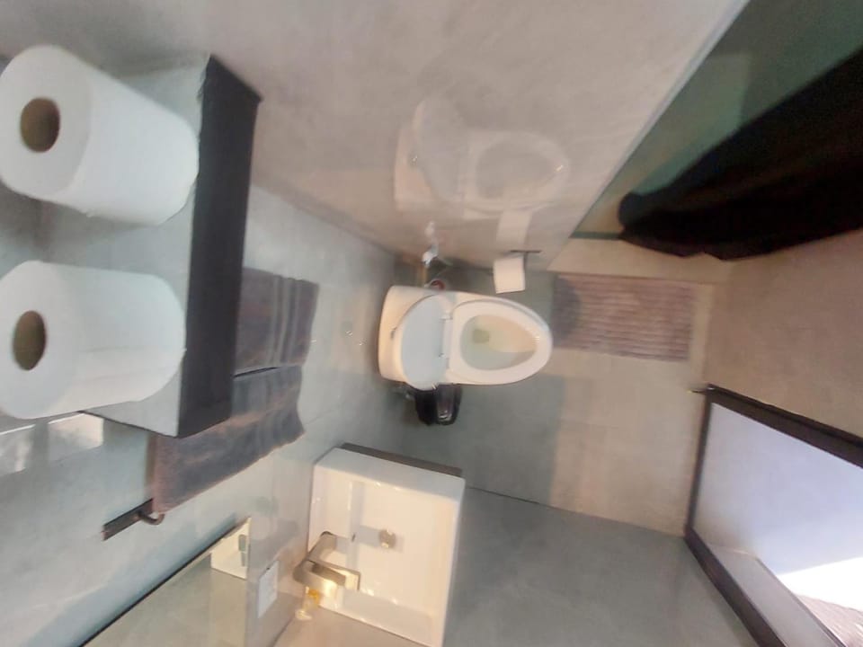 Toilet, Bathroom, towels
