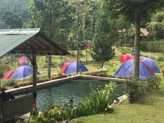 Spring, Day, Natural landscape, Garden, Garden view, Pool view, Swimming pool