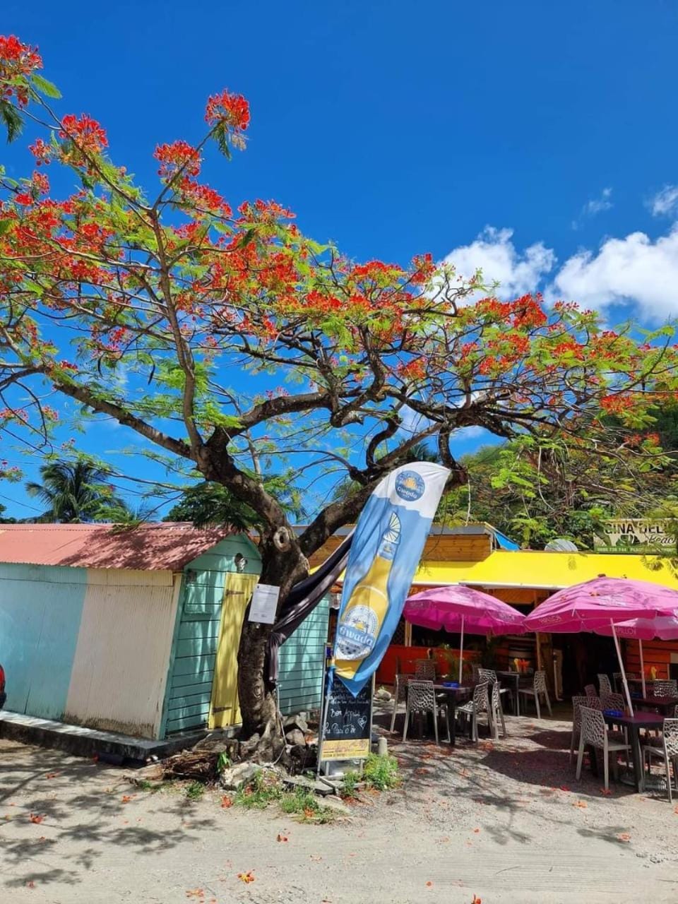 Restaurant/places to eat, Coffee/tea facilities