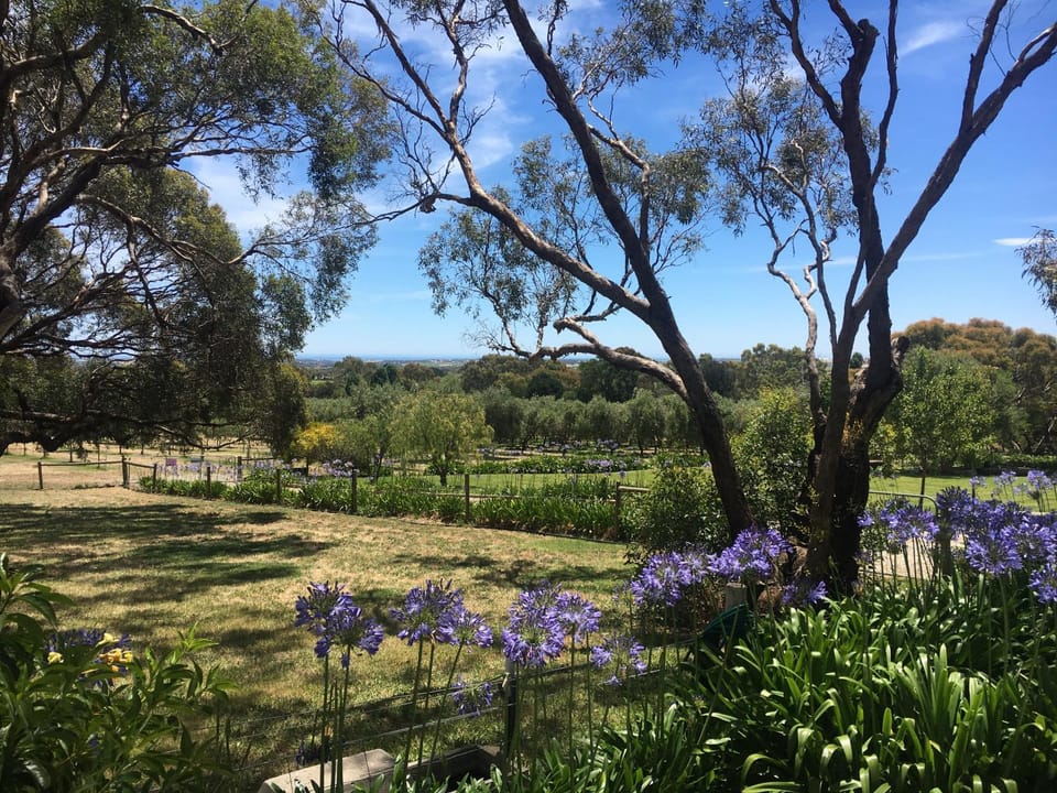 The Farm Willunga Bed and Breakfast in Willunga