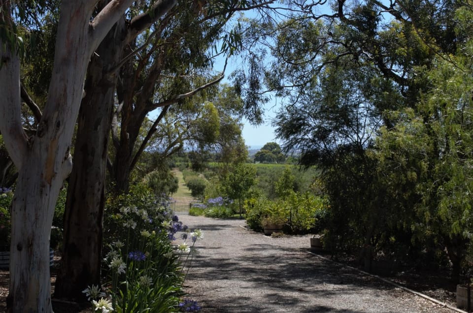 The Farm Willunga Bed and Breakfast in Willunga