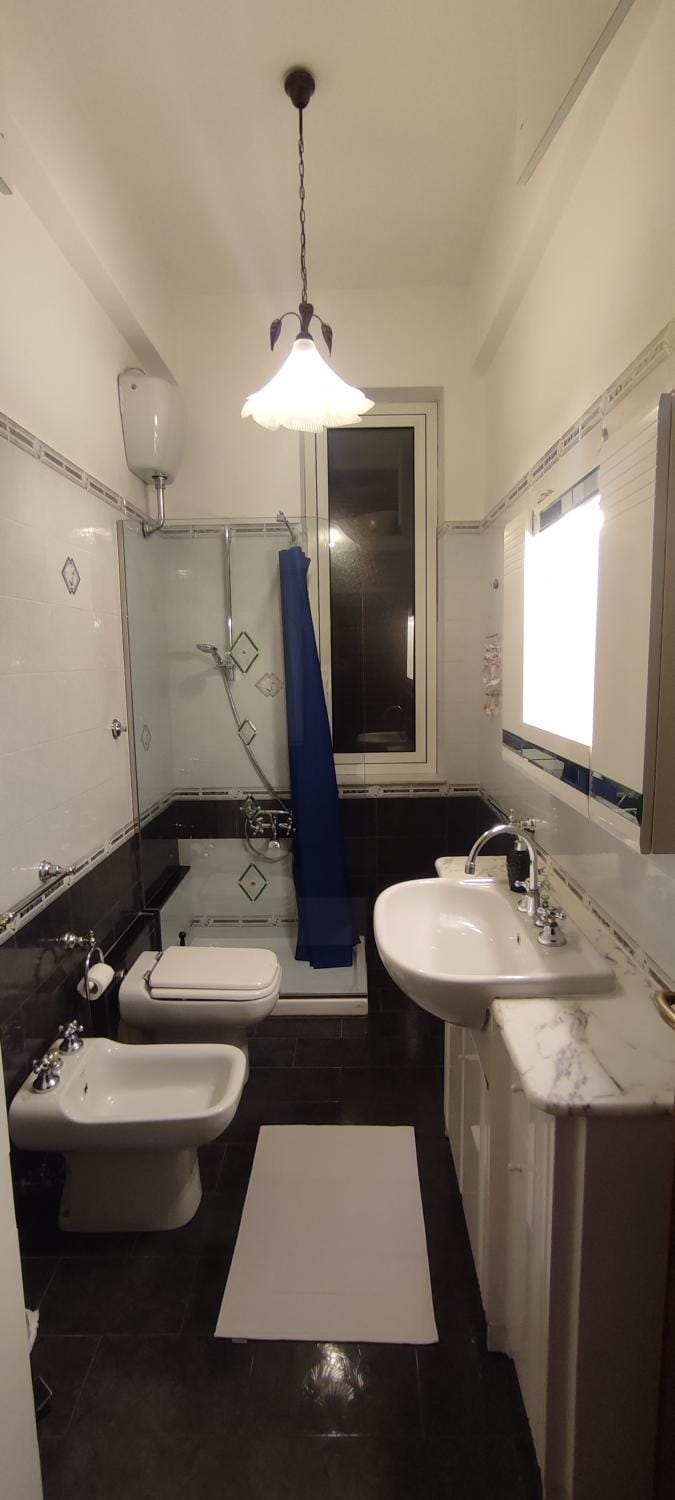 Shower, Toilet, Bathroom, bidet