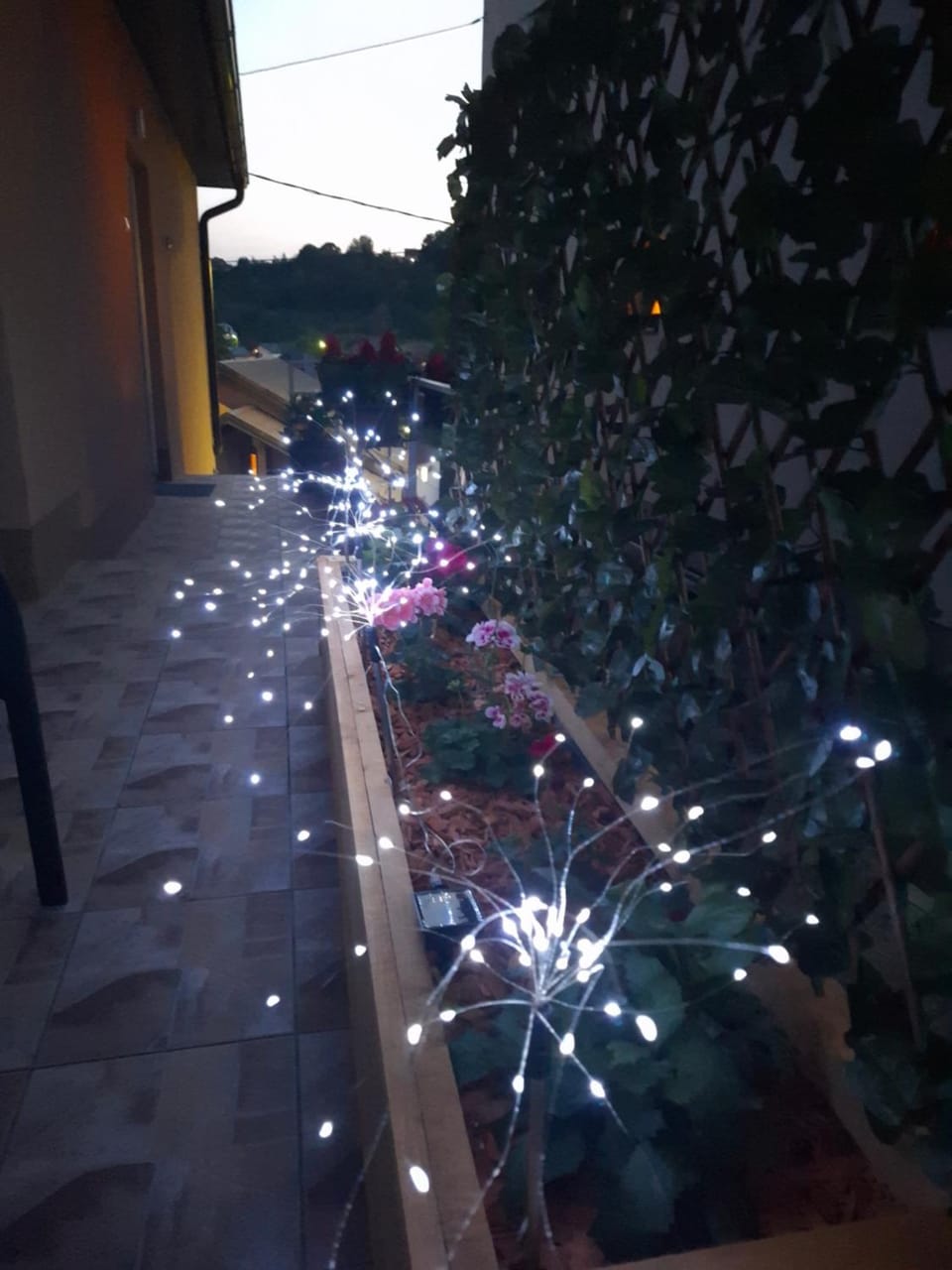 Night, Garden