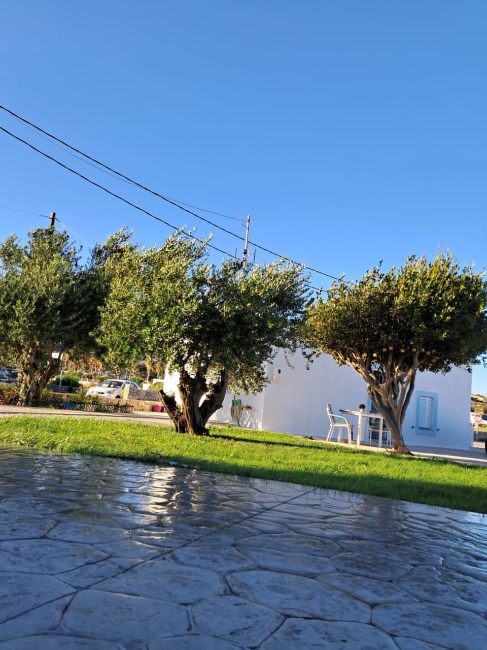 Property building, Spring, Natural landscape, Garden, Garden view