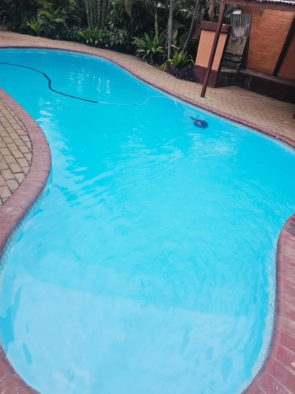 Day, Pool view, Swimming pool