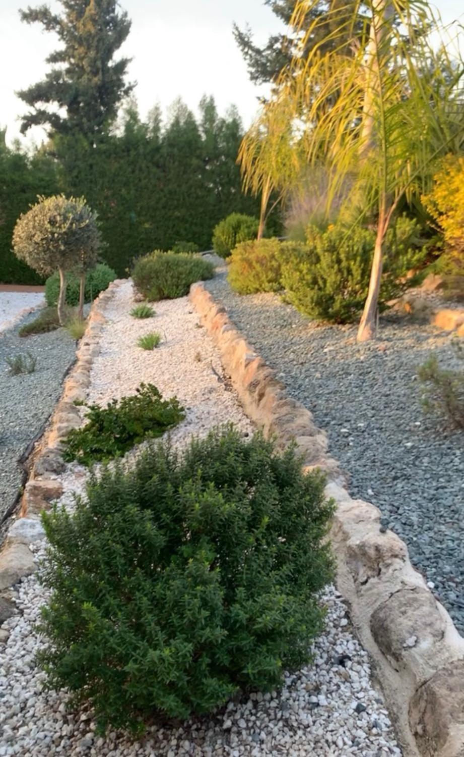 Garden, Garden view, Garden view
