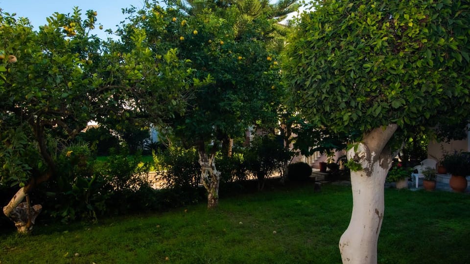 Spring, Day, Natural landscape, Garden, Garden view