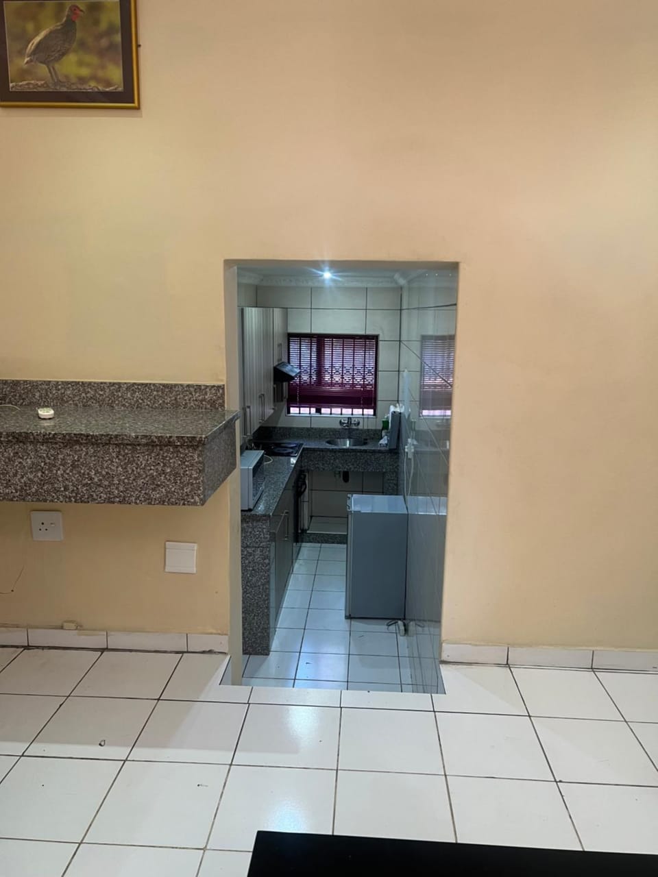 Butfongo Lodge Apartment in South Africa
