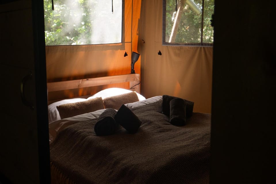 Ecolodges De Dreef Luxury tent in Renesse