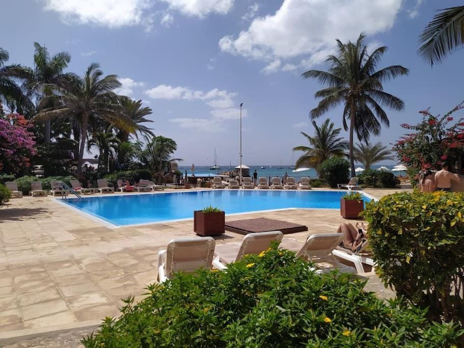 Swimming pool, sunbed