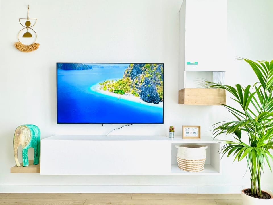 TV and multimedia