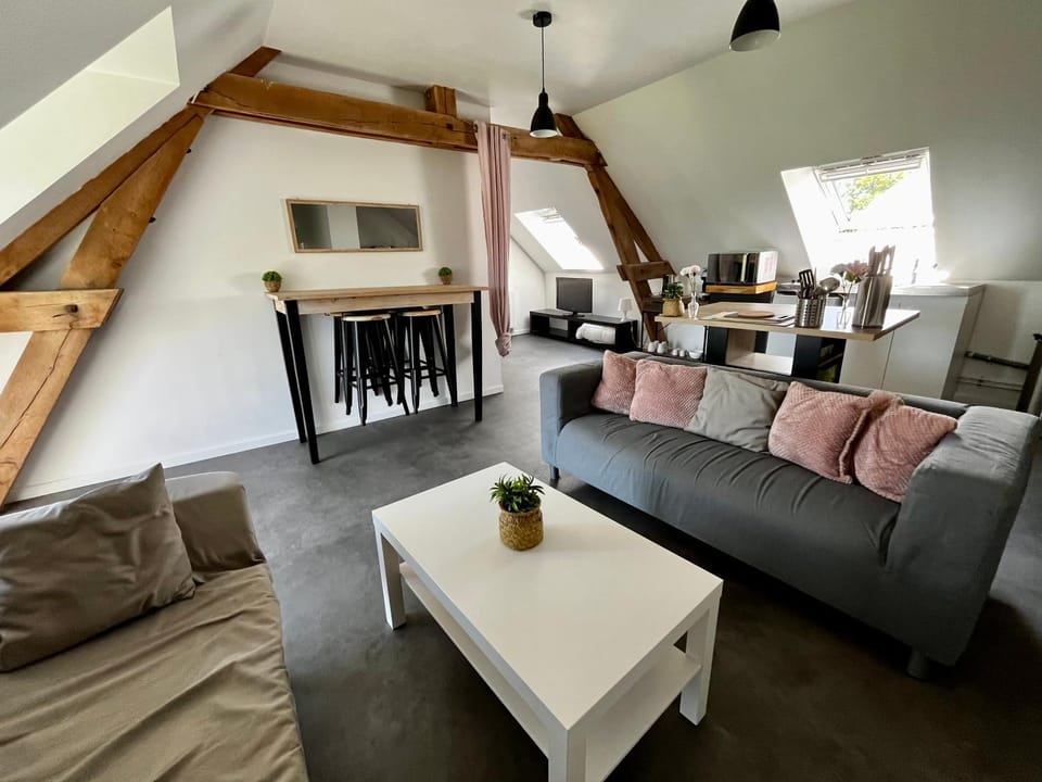 La campagne près de la ville Apartment in Centre-Val de Loire