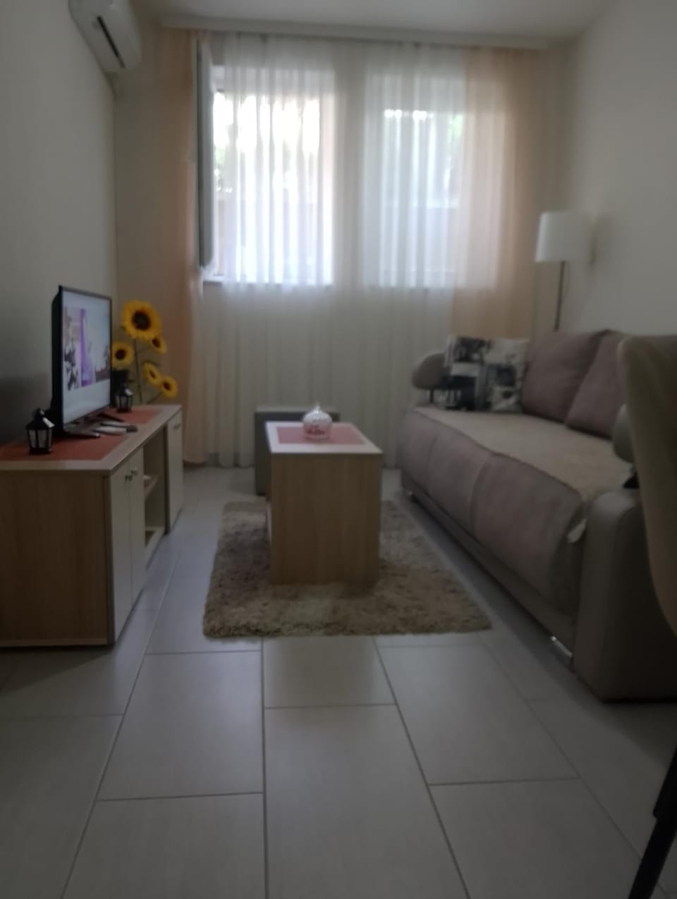 JelaLux Apartment in Serbia