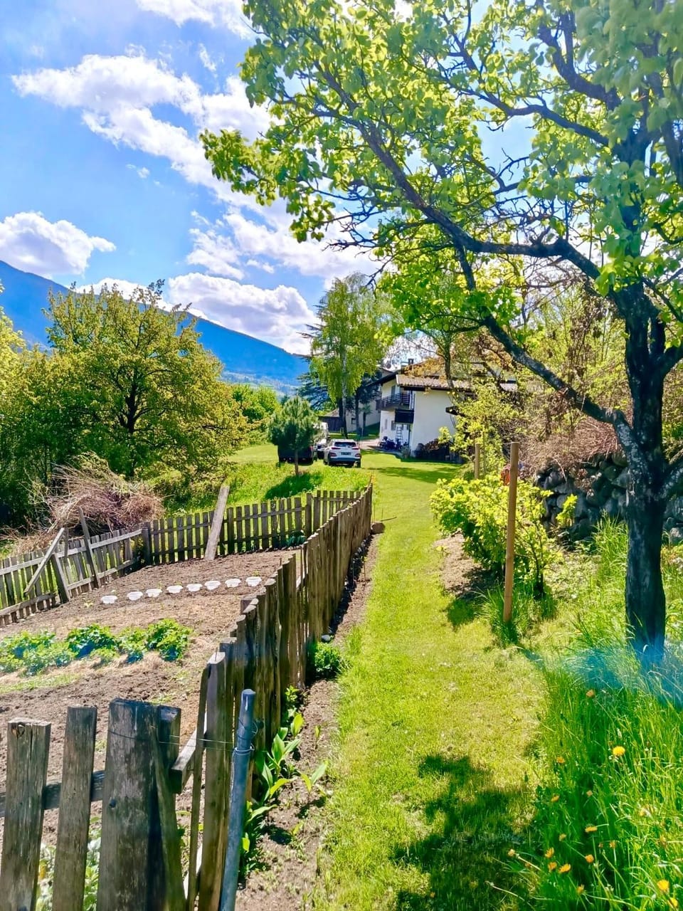 Ferienwohnung Burgfrieden Brixen with BrixenCard Apartment in Brixen