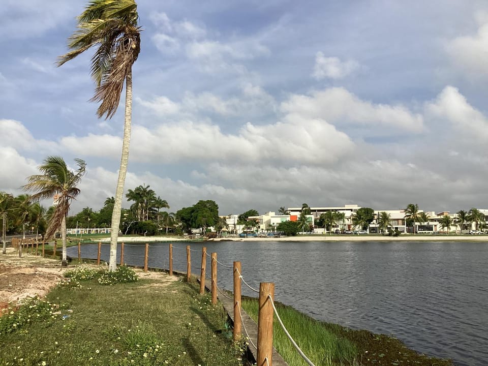 Lake view
